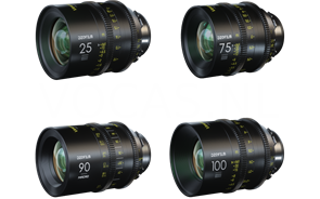 Набор объективов DZOFilm Vespid 25,75,100 T2.1+Macro 90mm T2.8 крепление PL&EF