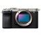 Беззеркальная камера Sony a7C II Kit 28-60mm f/4-5.6 Silver - фото 30576