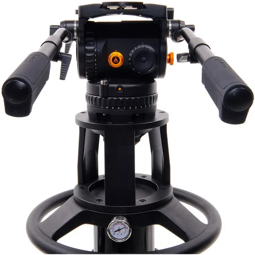 f1bPexo1cv.jpg
