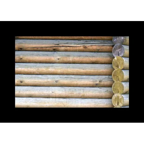 PAMCrc32b5.jpg
