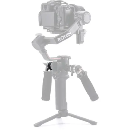 elxPXbMtL6.png