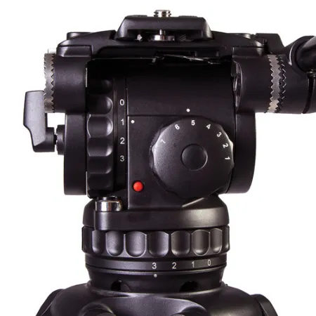 XL7GC8IpTX.jpg