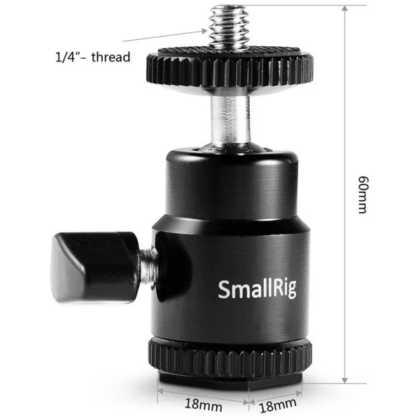 fU5zMomxQj.jpg
