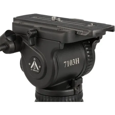 fN0hHzrV1f.jpg