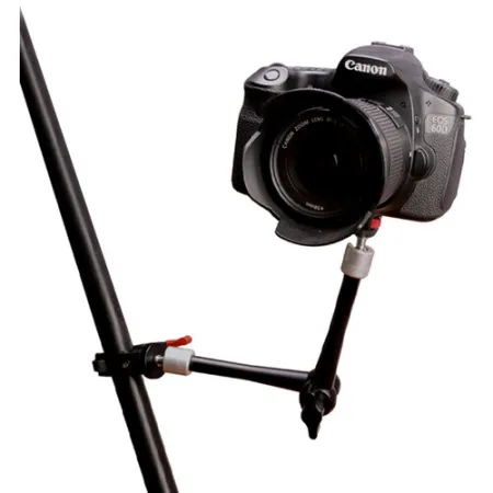 p8HL1WYaTM.jpg