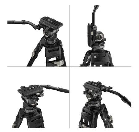 gPveXEWyjP.png