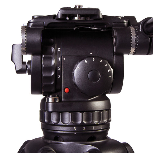 XL7GC8IpTX.jpg