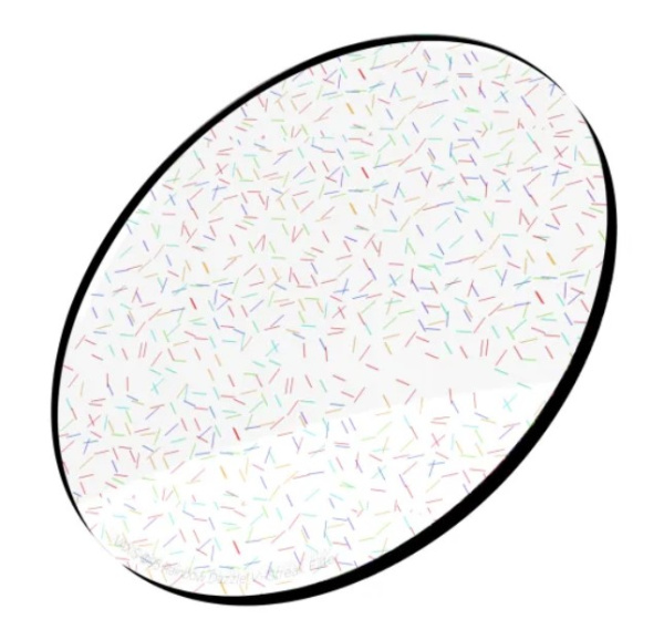 qfeSN0fJiN.jpg
