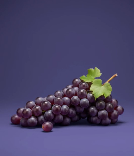 Фон бумажный Raylab 002 Фиолетовый Purple 2.72x11 м